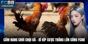 Cẩm Nang Chơi Chọi Gà – Bí Kíp Cược Thắng Lớn Cùng FC88